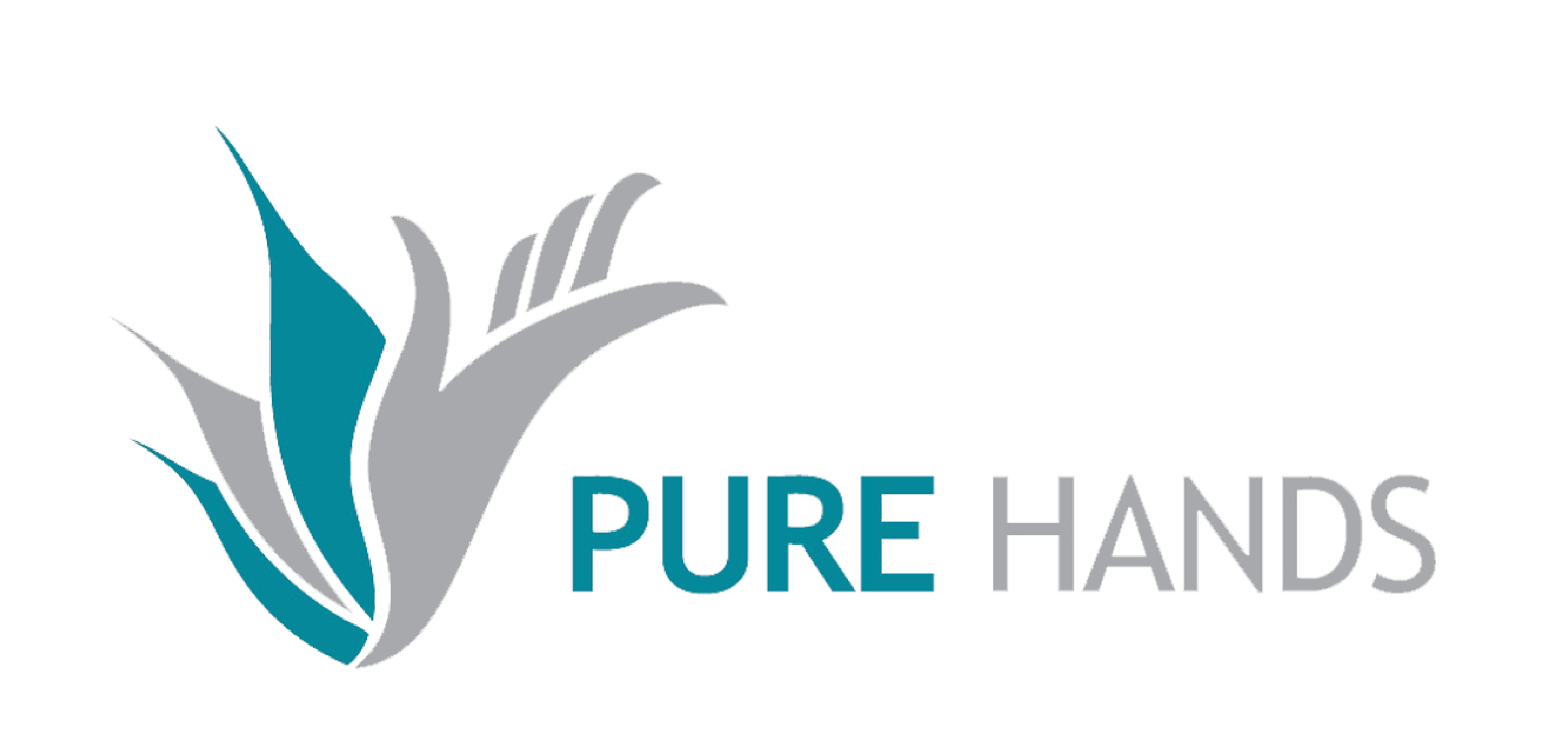 Pure Hands|EOI Yemen 